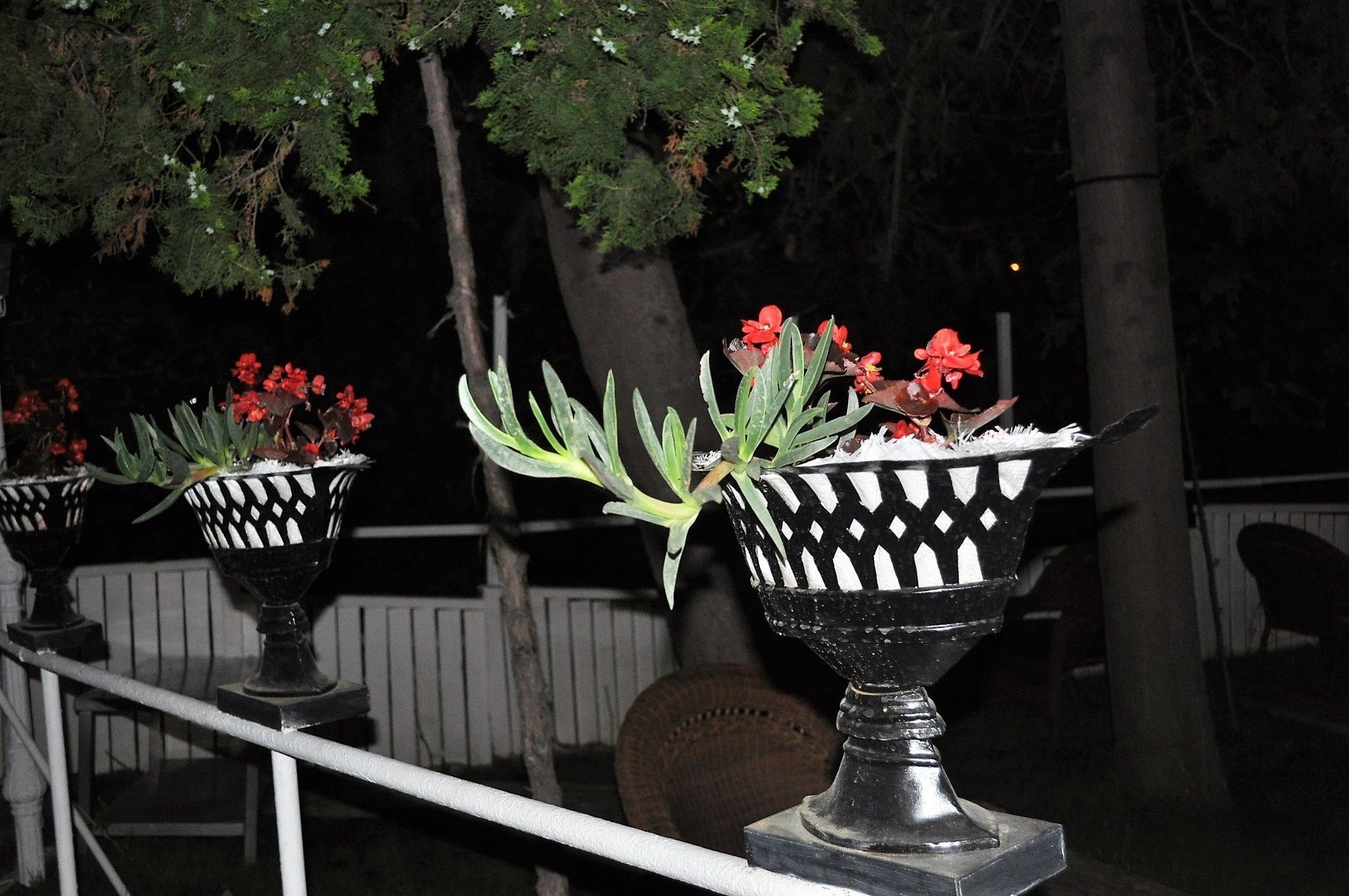 Syedra Princess Hotel Mahmutlar Buitenkant foto