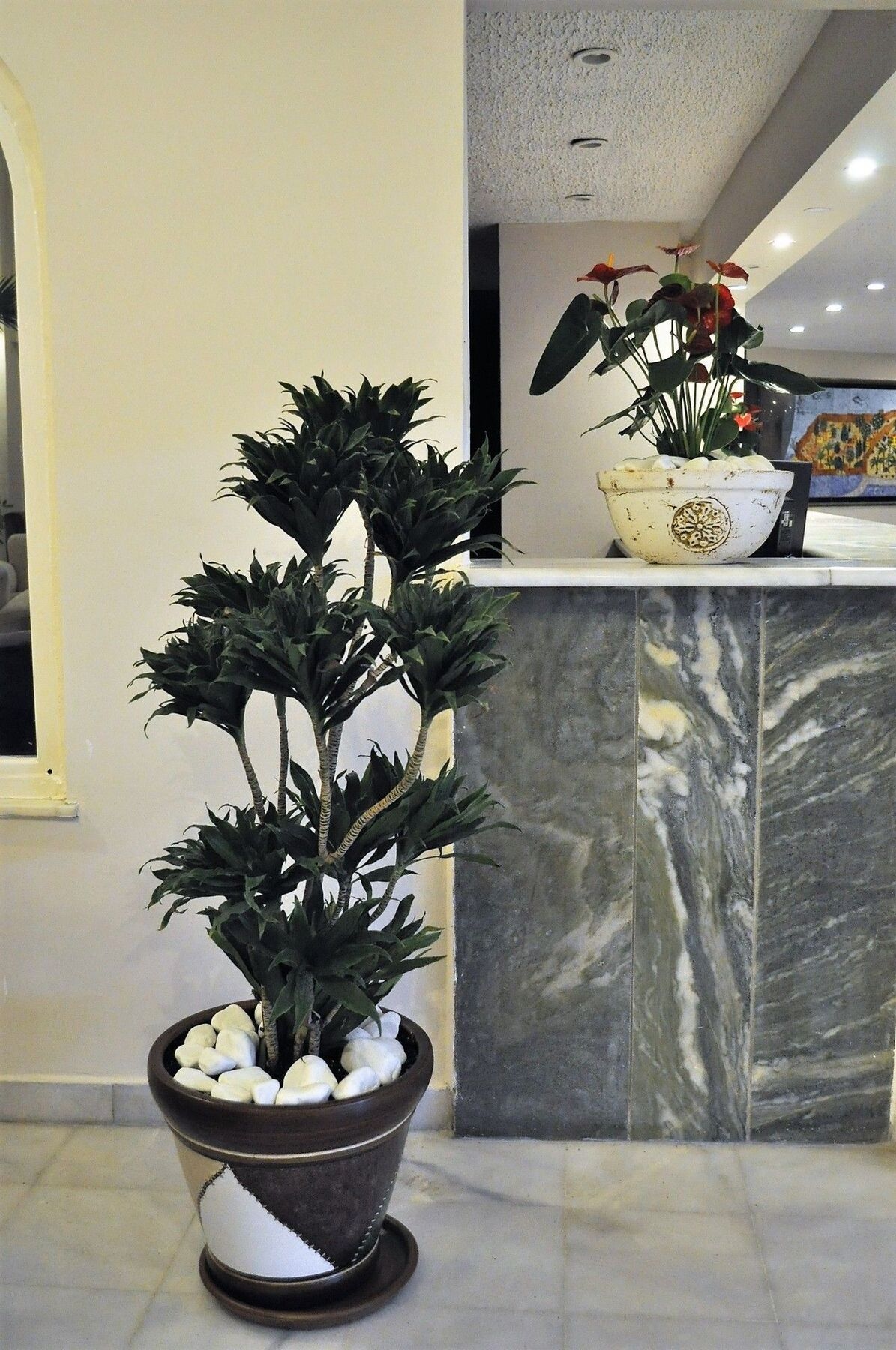 Syedra Princess Hotel Mahmutlar Buitenkant foto